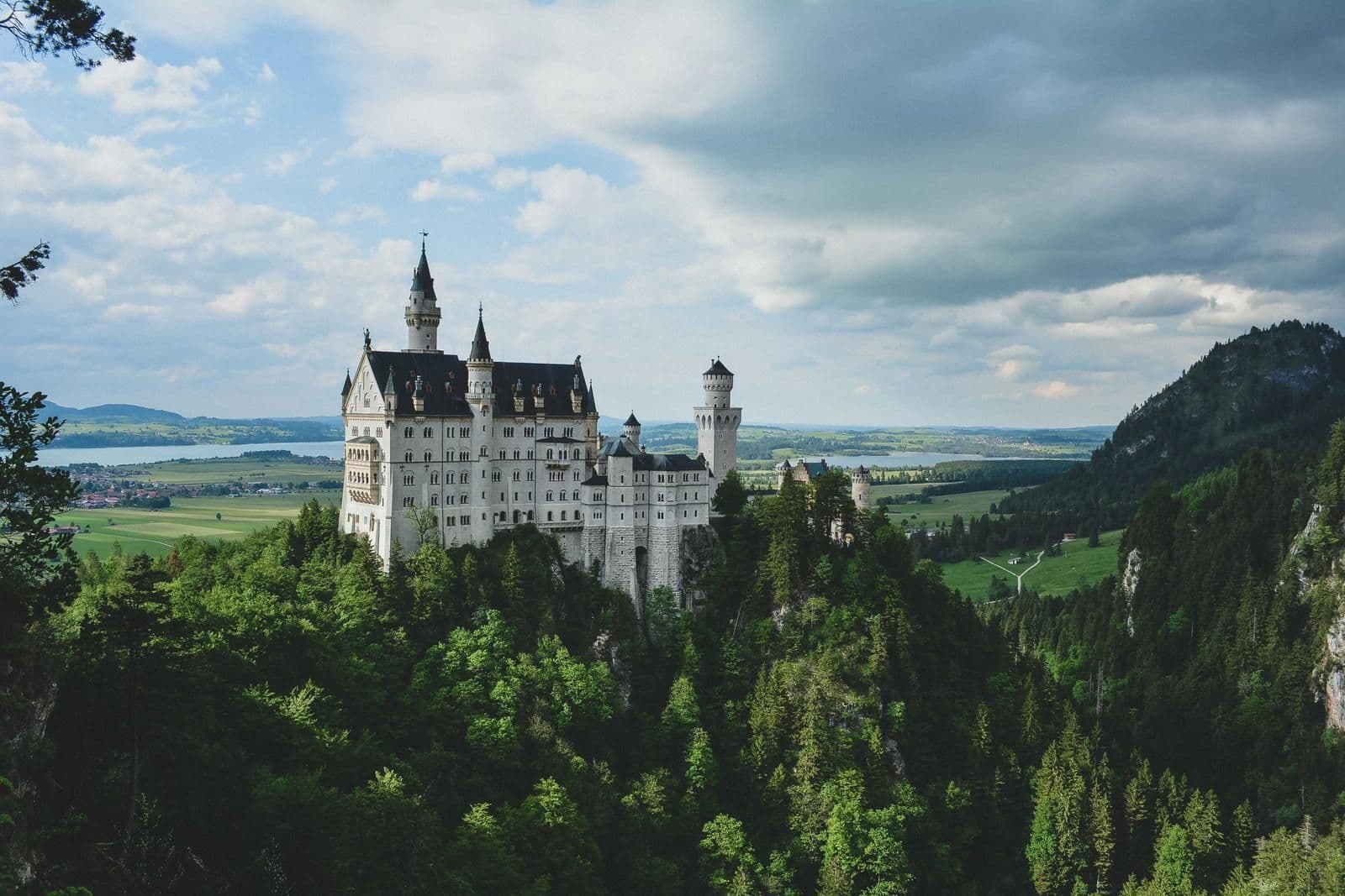 One house, many towers · Temporary plate